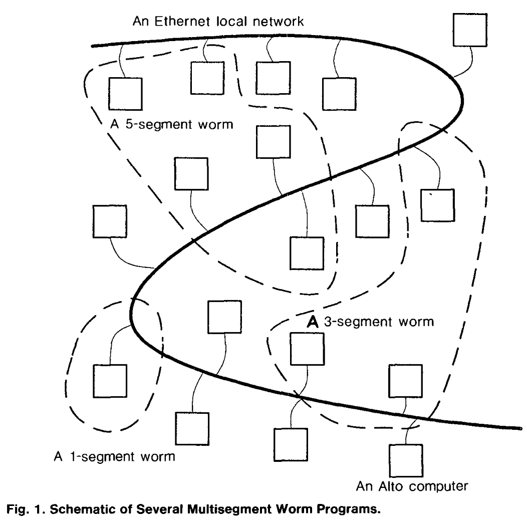 Schematic of Several Multisegment Worm Programs